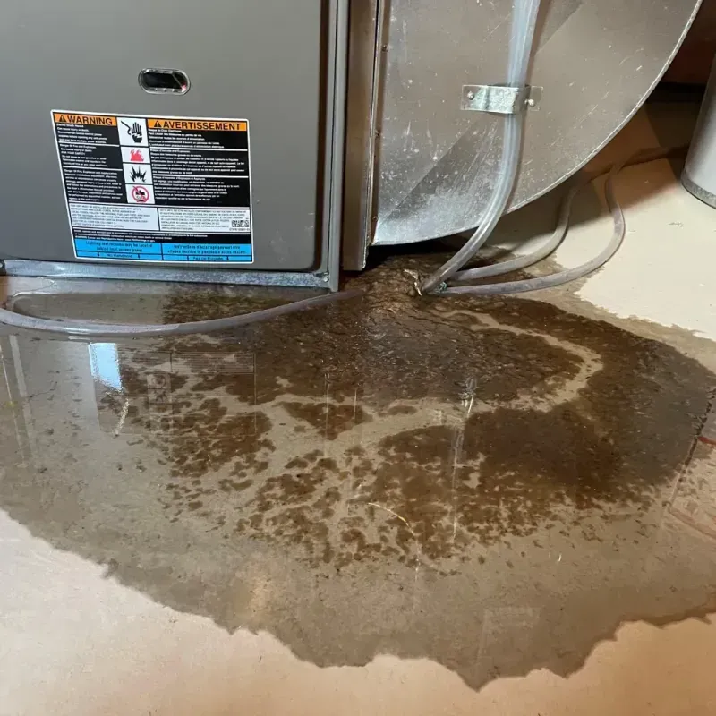 Appliance Leak Cleanup in Bainbridge, PA